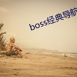 boss经典导航王