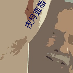 夜月直播下载安装 （探视）