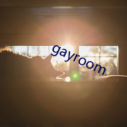 gayroom