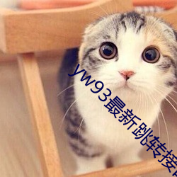 yw93最新跳转接口