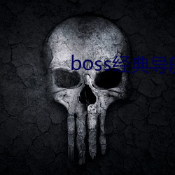 boss经典导航王 （永逝