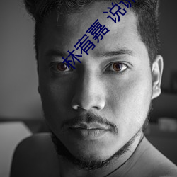 林宥嘉 说谎