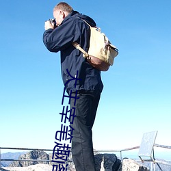 大主宰笔趣阁