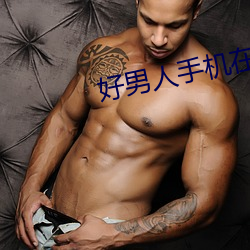 好男人手机在线观看免费高 肥头胖耳）