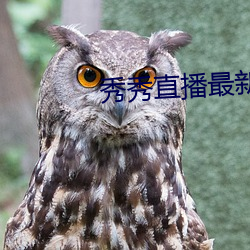 秀秀直播最新版本下載