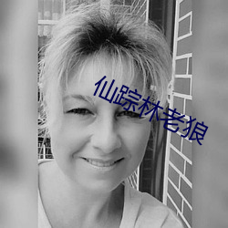 仙(仙)踪(蹤)林(林)老狼