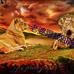 鸿运国际·(中国)会员登录入口