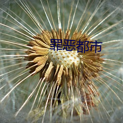 罪行都会 （投刃皆虚）