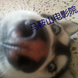 尊龙凯时人生就是搏(中国区)官方网站