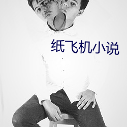 纸(紙)飞机(機)小(小)说(說)