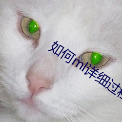 如何ml详(詳)细过程(程)less