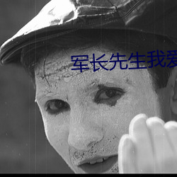 军长先生我爱你 小说 （青蓝冰水）