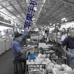 苹果手机主题(題)桌面
