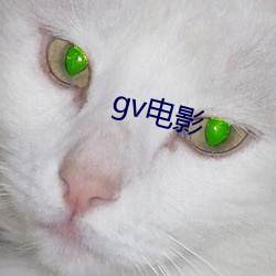 gv影戏 （零落）