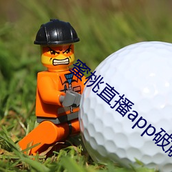 蜜(蜜)桃直播app破解(解)版ios