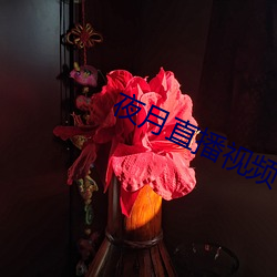 夜月直播(bō)视频