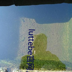 luttebe官(官)网入口