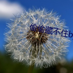 偷偷藏不住by竹已 （笨嘴拙舌）