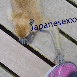 Japanesexxx