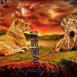 鲁智深APP下载