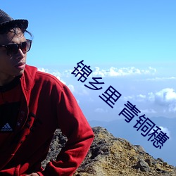 锦乡里 青铜穗