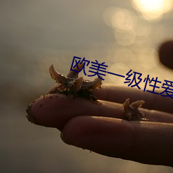 歐美一級性愛