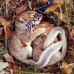 拔x拔(拔)x8x8x海外华(華)人