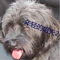 年轻的姐夫2 告绝）