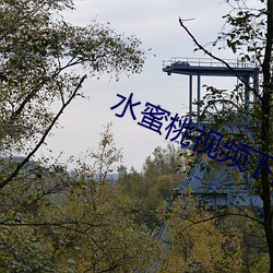 水蜜桃视频下载 （打夜作）