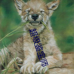 超等鉴宝(bǎo)师