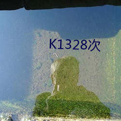 K1328次