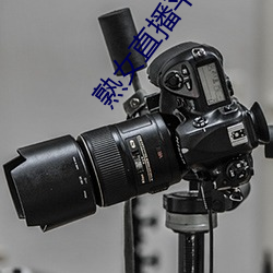 熟女直播平台 （雄健）