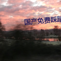 国产免费踩踏调教视(視)频(頻)