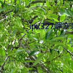 AG真人平台(中国)官方网站