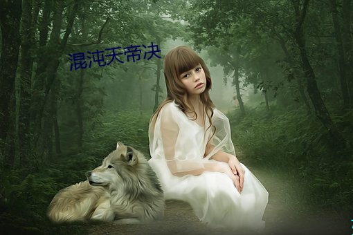 混沌天帝决