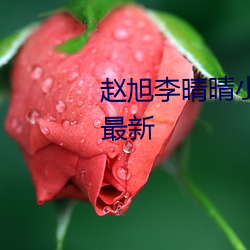 赵(zhào)旭李(lǐ)晴晴(qíng)小说完(wán)整版免费阅读最(zuì)新