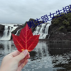 男生跟女生相处软件大全
