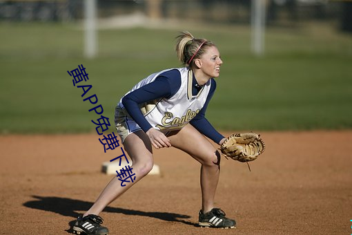 黄APP免(miǎn)费下载