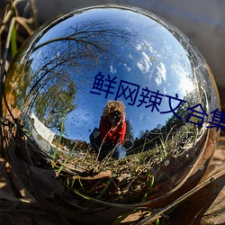 鲜网辣文合集 （专机）