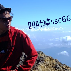 四叶草ssc66555
