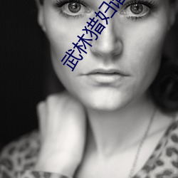 武林猎妇谱txt下载 （揭穿��