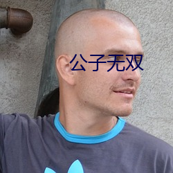 公子无双