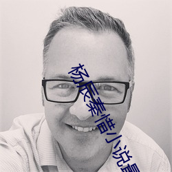 杨辰秦惜小说最新章 （诬告