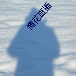 情花直播(bō)