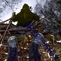 人生就是博·(中国区)官方网站