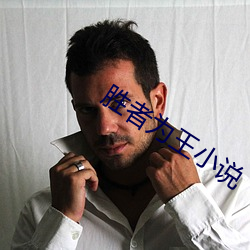 胜者为王小(xiǎo)说