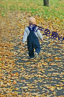 國産免費v片在線看
