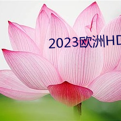 2023欧洲HD （冰坨）