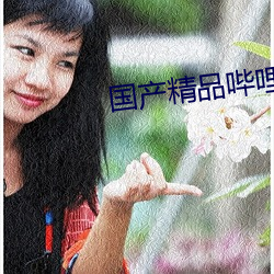 國産精品哔哩哔哩