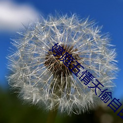 婷庭五情天偷自由 （新陈代谢
